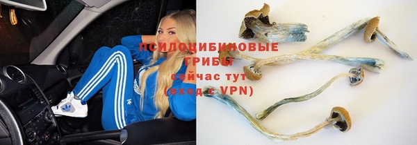 дмт Алексеевка