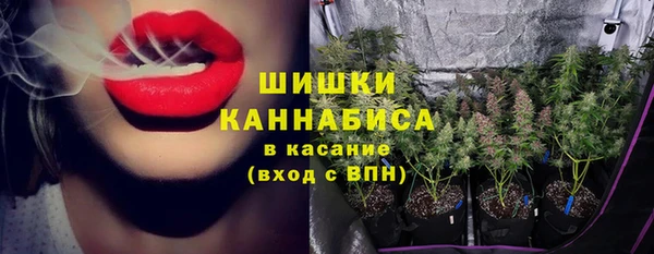 гашик Алзамай