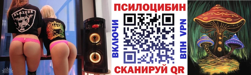 что такое   ОМГ ОМГ ONION  Галлюциногенные грибы Psilocybe  Олонец 